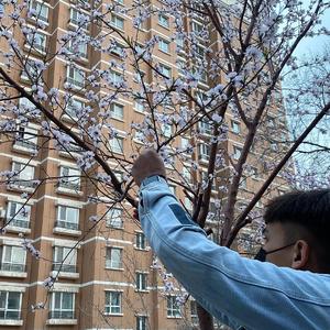 久久精品人成免费
