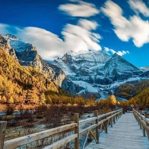 久久精品人成免费
